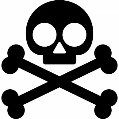 skull crossbones sign icon flat silhouette symmetric outline