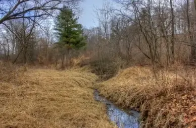 small stream at pewit039s nest natural area wisconsin