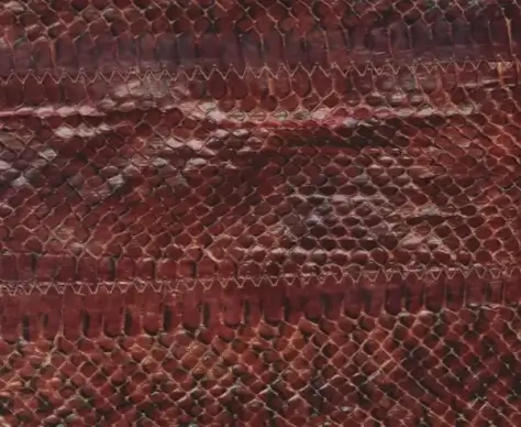 snake leather skin background