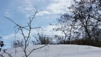 Snow