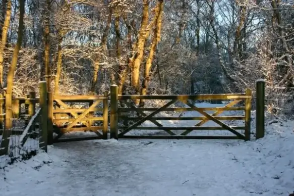 snow and sunlight 2