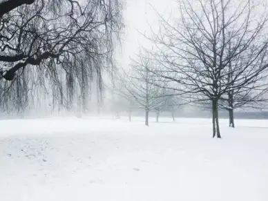 snow day 2
