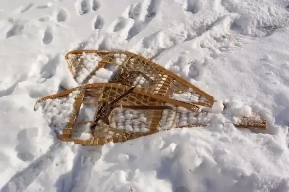 snow shoes laying in snow
