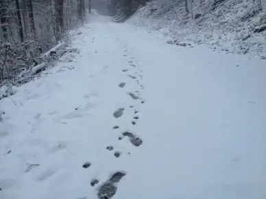 snow traces man