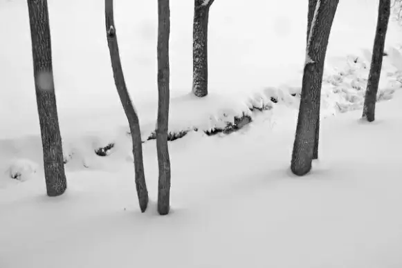 snowcovered creek