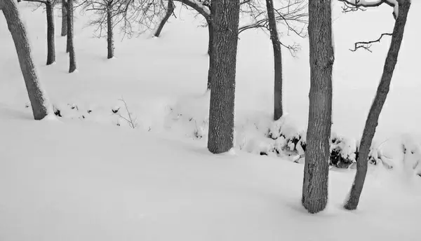 snowcovered creek