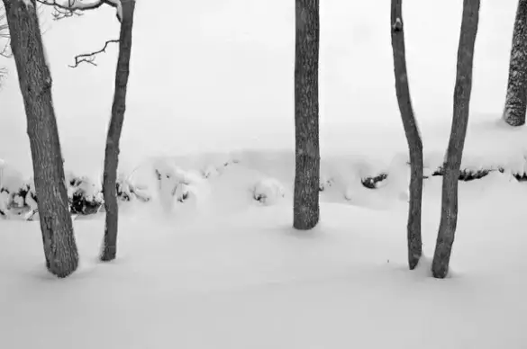 snowcovered creek