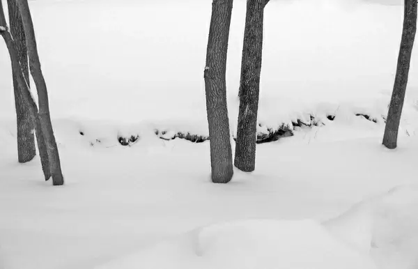 snowcovered creek