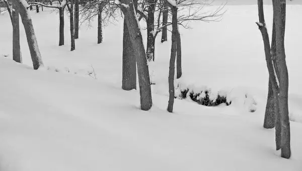 snowcovered creek