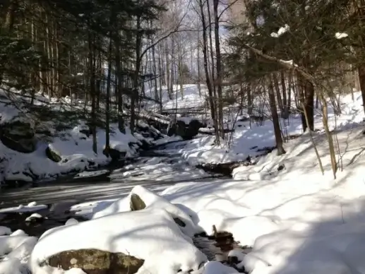 snowy creek