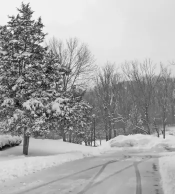 snowy parking lot
