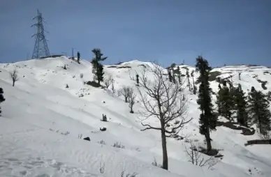 solitude is bliss
