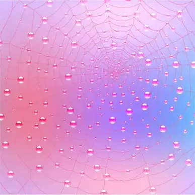 spider web with dewdrop background