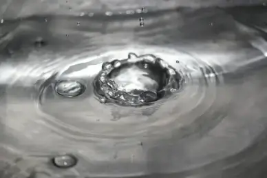 splash water spat
