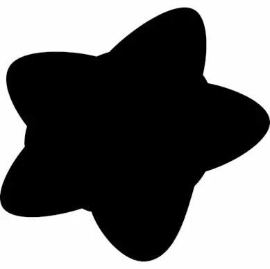 splotch mark sign icon flat silhouette star shape