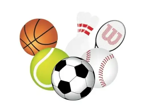 sports utensils collection vector illustration