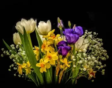 spring