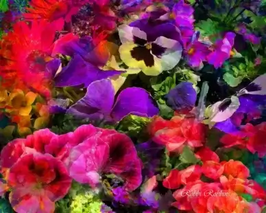 spring