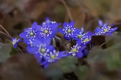 spring has arrived