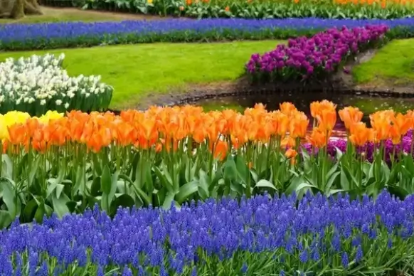 spring in garden