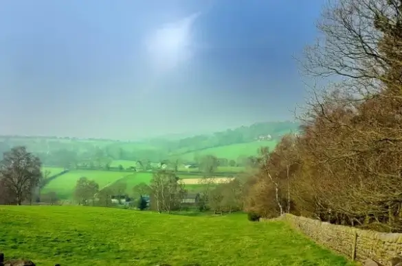 spring landscape