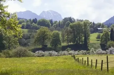 spring sunshine may