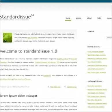 Standard Issue 1.0 Template