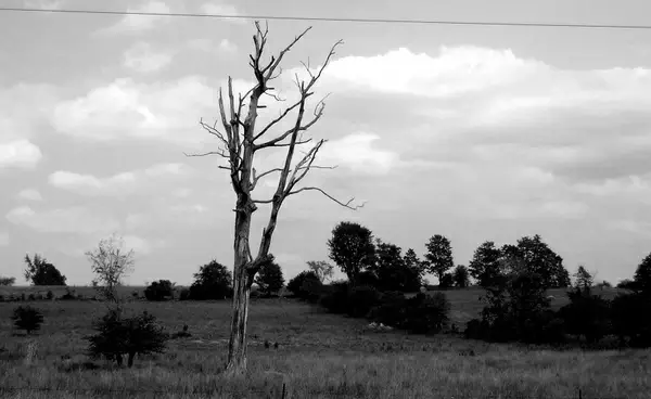 standing alone