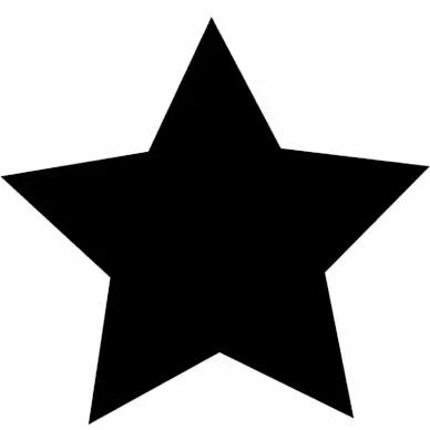 star interface sign icon black silhouette flat sketch