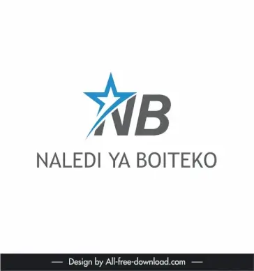 star logo nb template elegant flat modern design