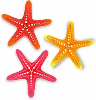 Starfishes
