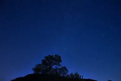 stars above the trees at devil039s lake state park wisconsin
