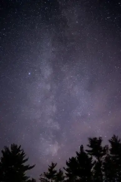 stars night milky way trees