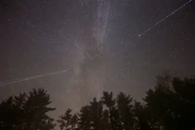 stars night trees milky way