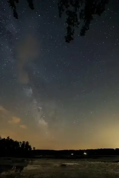 stars night trees water