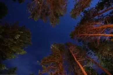 stars over a campfire light with a full moon in rmnp