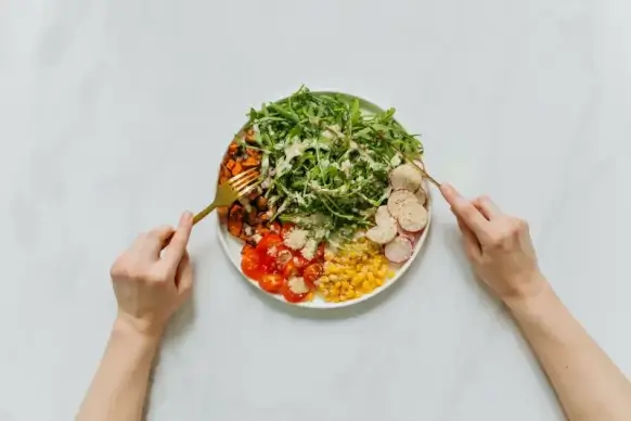 starter vegan food picture dynamic elegance 