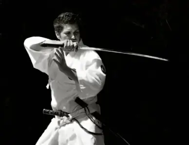 steel blade