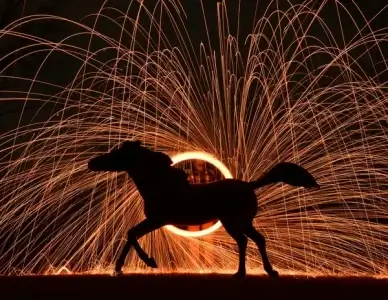 steel wool