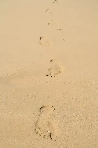 steps in the sand