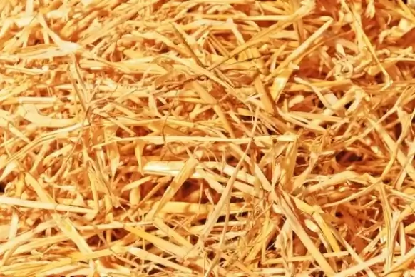 straw texture