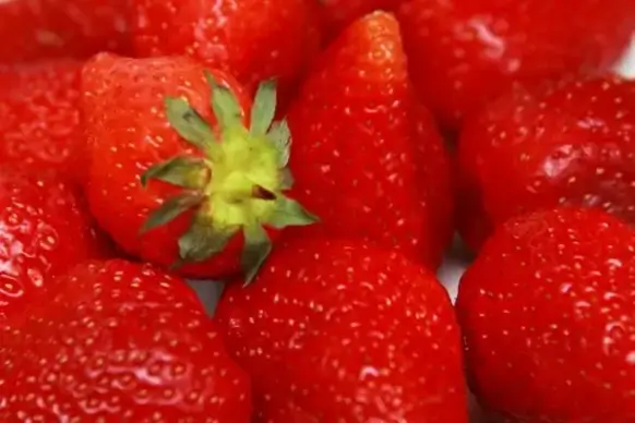 strawberry background