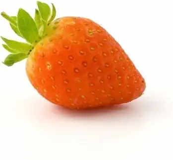 strawberry fruit red