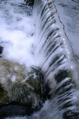 stream