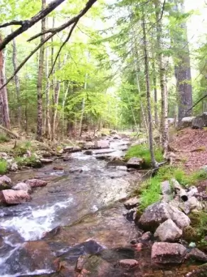 stream