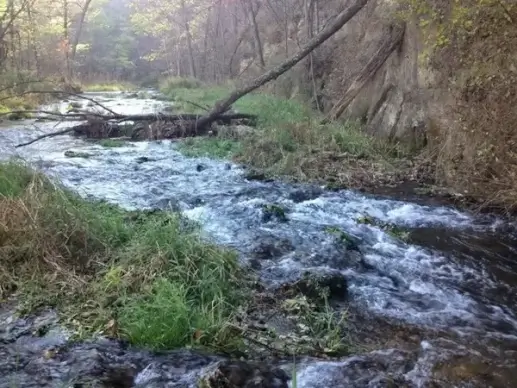 stream and rapids