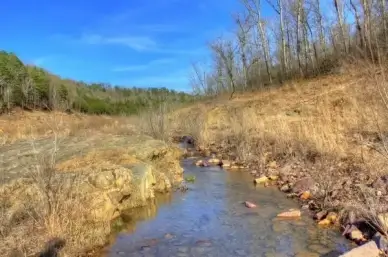 stream closeup at johnson039s shut ins state park