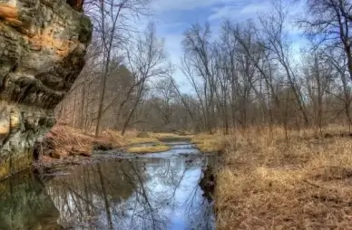 stream flowing into woods at pewit039s nest natural area wisconsin