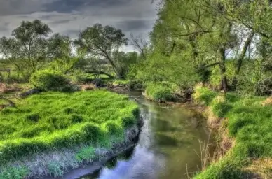 stream scenery on the military ridge state trail
