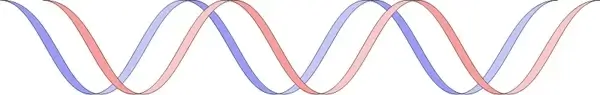 Stylized DNA